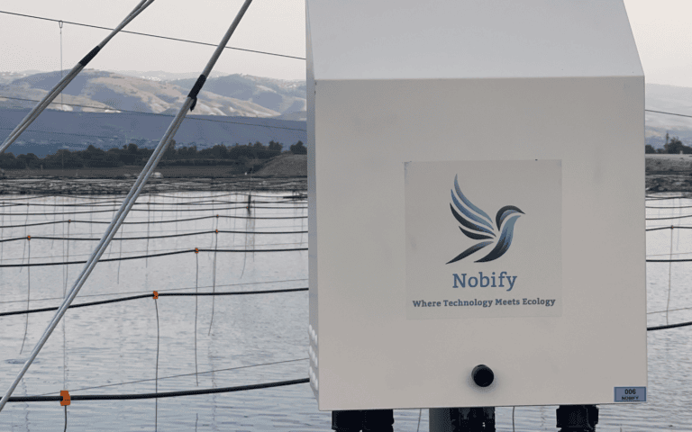 The Nobify system, poised and ready to deter any feathery fiends. Photo by Gili Galdan