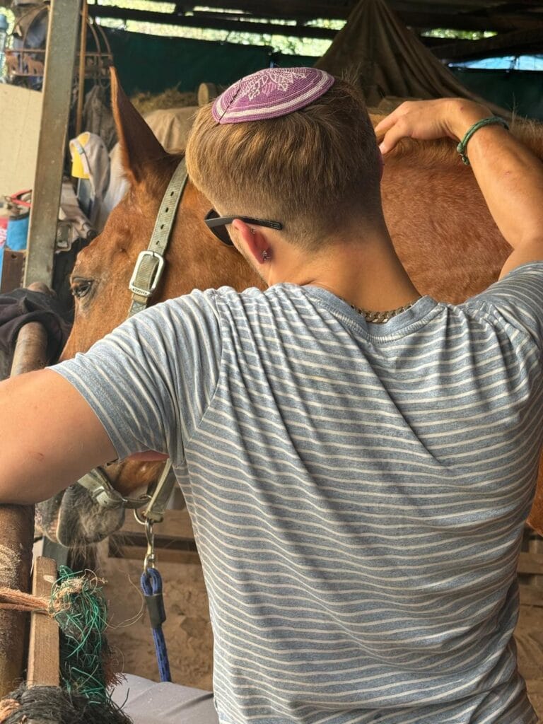 Nonverbal communication between horse and rider allows the rebuilding of trust and attachment. Photo courtesy of Transcending Trauma