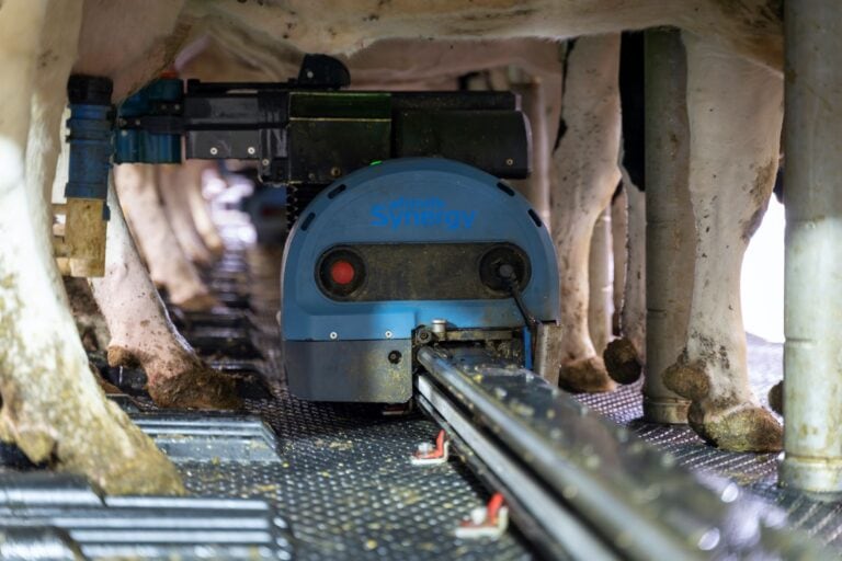Afimilk’s Synergy robotic milking system is the first of its kind for medium-sized farms. Photo courtesy of Afimilk
