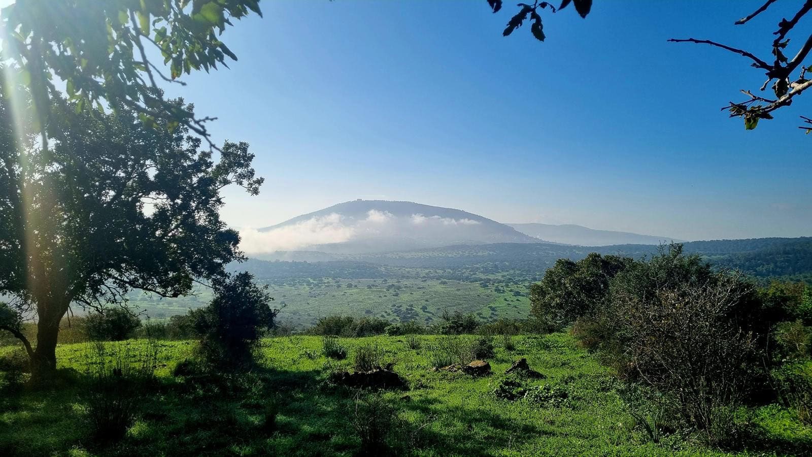 Mount Tabor National Park. Photo by Penina Zaisler/KKL-JNF Photo Archive