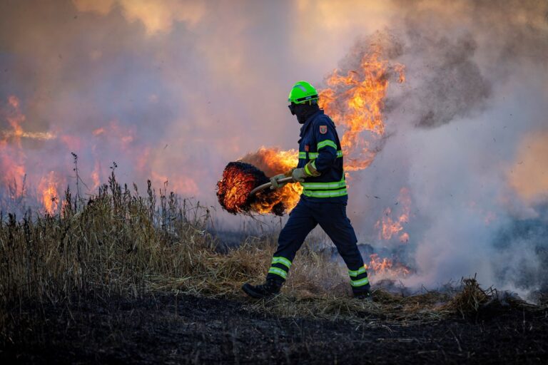 Firedome plans to coordinate its wildfire detection and suppression system with local firefighters. Image by Matthias Fischer from Pixabay