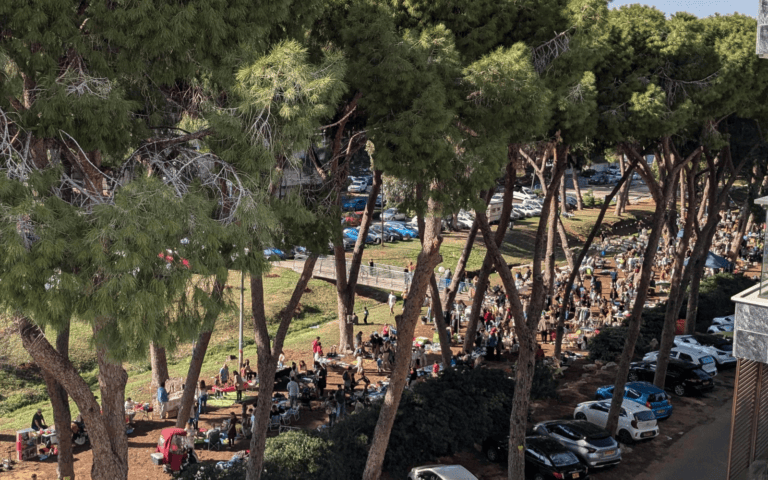 A ringneck parakeet’s-eye view of the Wadi, where the Shik Shuk is hustling and bustling. Photo by Rebecca Charytan-Spitz