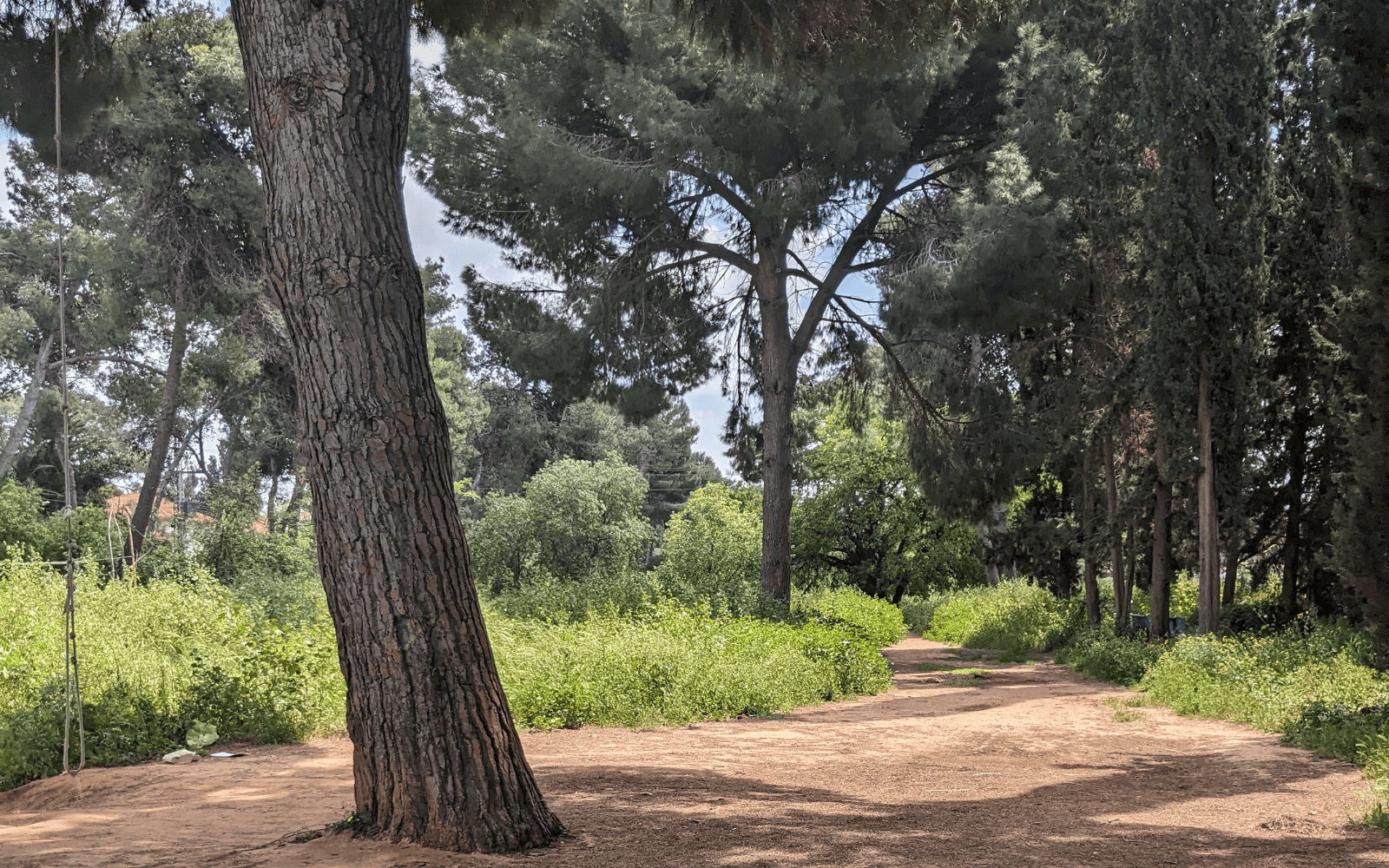 The Wadi is a great place for a weekend walk. Photo by Rebecca Charytan-Spitz