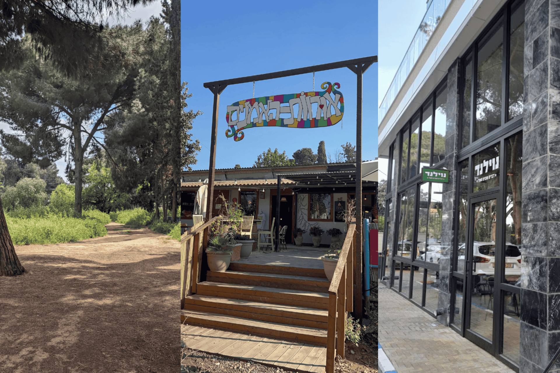 Pardes Hanna’s got it all, baby: art, nature and activism. Photos by (L to R) Zachy Hennessey; Rebecca Charytan-Spitz; Flash90