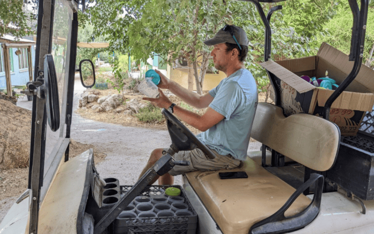 Releasing mosquitoes manually in Tzora during the pilot. Photo courtesy of Diptera.ai