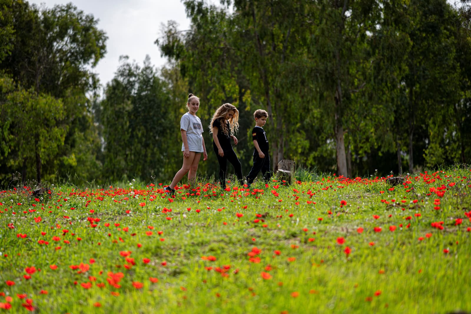 Children walking in a poppy field in the Western Negev. Photo by Eyal Brimbram