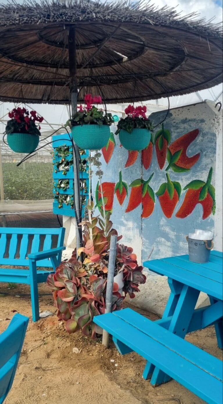 The entrance to the Uri Tutim farm. Photo by Yulia Karra