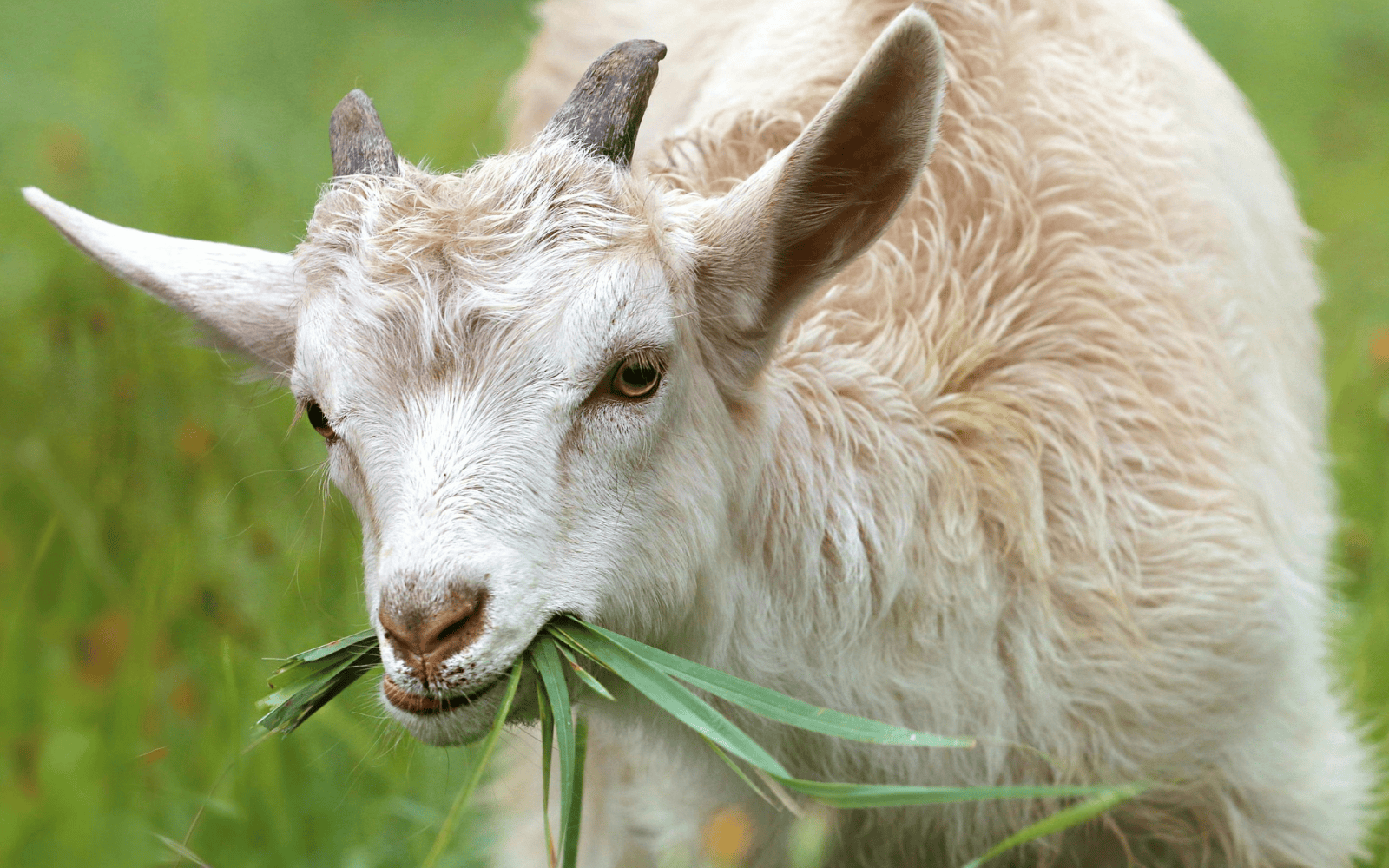 An action shot of critical fire control taking place. Photo by Pixabay