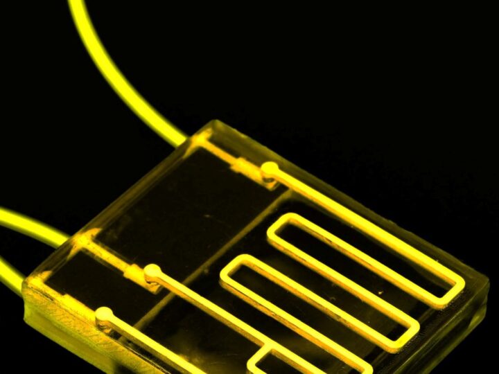Biochips are a huge leap forward in the development of novel monitoring devices in a host of industries. Photo by luchschenF/Shutterstock