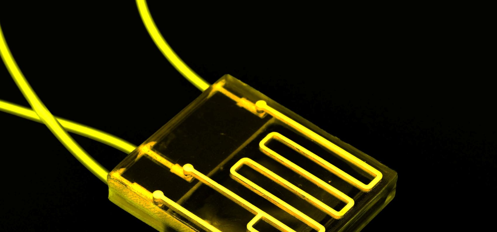 Biochips are a huge leap forward in the development of novel monitoring devices in a host of industries. Photo by luchschenF/Shutterstock