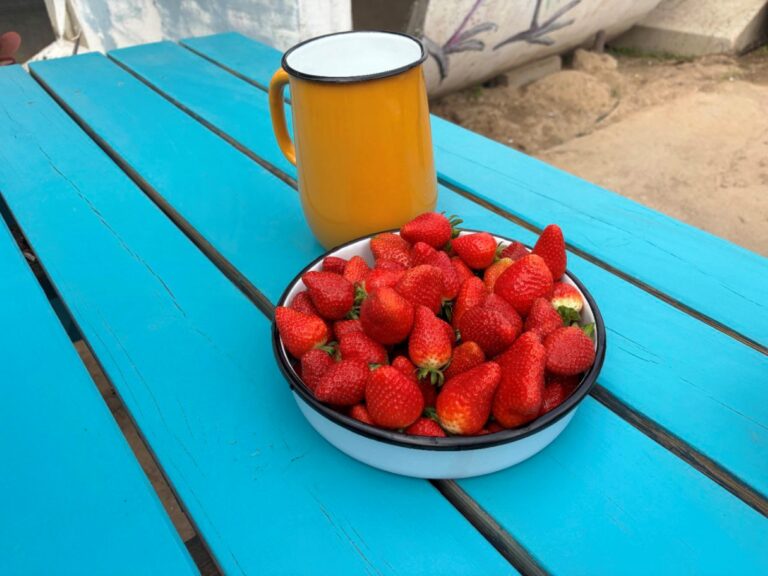 Strawberries from Uri Tutim farm served on a plate. Photo by Natalie Selvin 