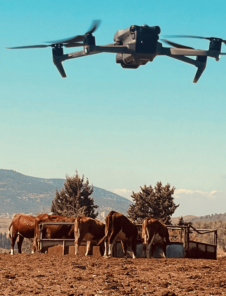 Photo courtesy of BeeFree Agro