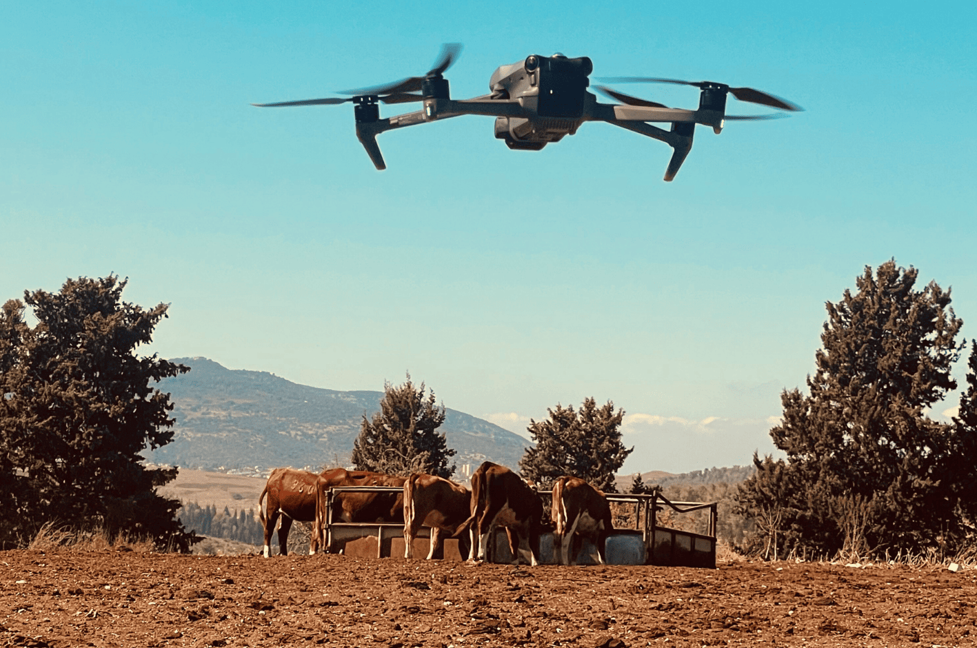 Photo courtesy of BeeFree Agro