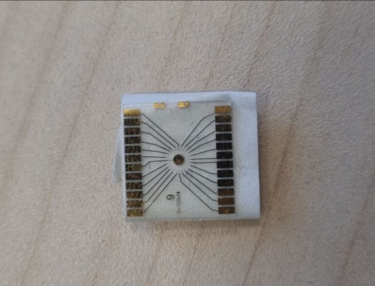 The disposable electrochemical sensor. Photo by Yulia Karra