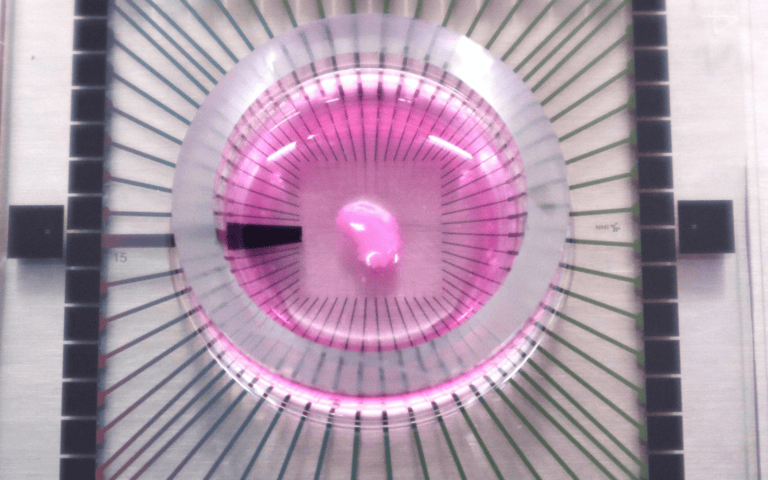 Itay&Beyond uses stem cells to cultivate synthetic brain tissue, which can be used to diagnose and develop treatments for neurological disorders. Photo courtesy of Itay&Beyond