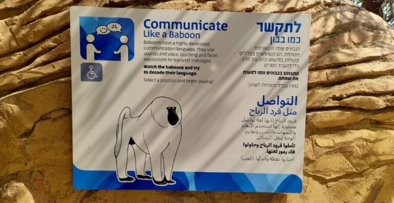 The entrance to the baboon enclosure’s interactive installation. Photo by Yulia Karra  