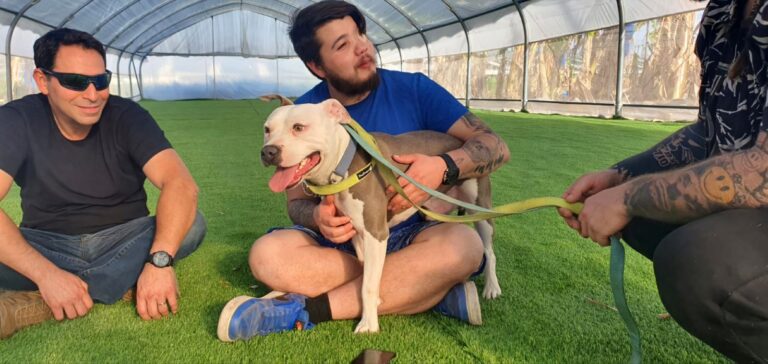 Soldiers with PTSD attend a meeting as part of the rehabilitation program at Gilboa Loves Dogs. Photo courtesy of Gilboa Loves Dogs