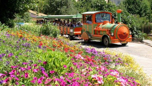 Jerusalem Botanical Gardens train