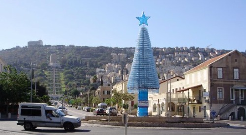 Recycled Christmas tree