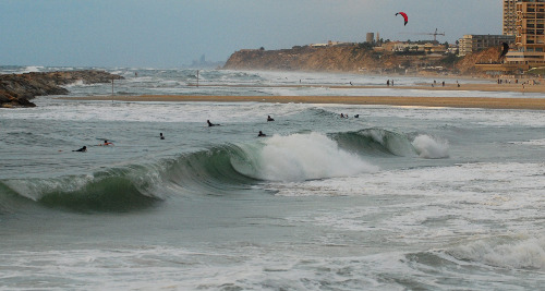Surfing in Herzliya
