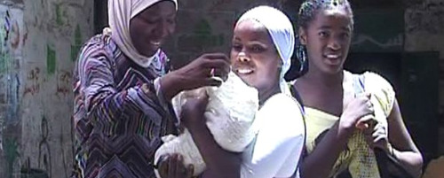 International Film Festival