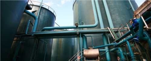 Ginipic-online-image-search