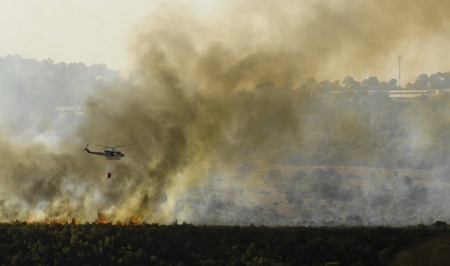 Carmel forest fire