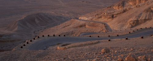 Negev-Desert