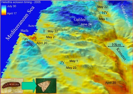 Micro-climates satellite indication