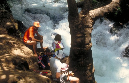 Hermon Stream (Banias) Nature Reserve