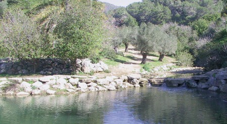 Mount Carmel National Park