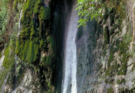 Ein Gedi Nature Reserve