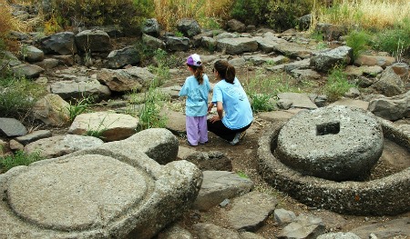 Gamla Nature Reserve