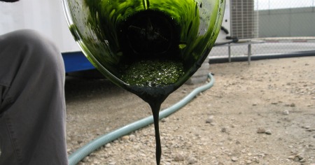 Seambiotic biofuel
