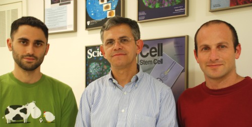 Prof. Benvenisty and research team