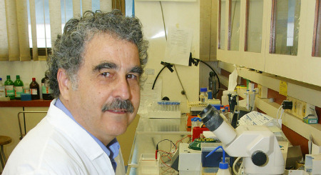 Prof. Haim Breitbart