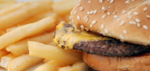 Obesity-Stress-Study