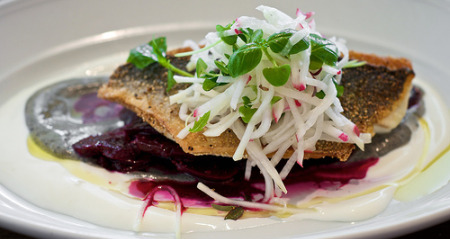 Tapas-Herbert-Samuel